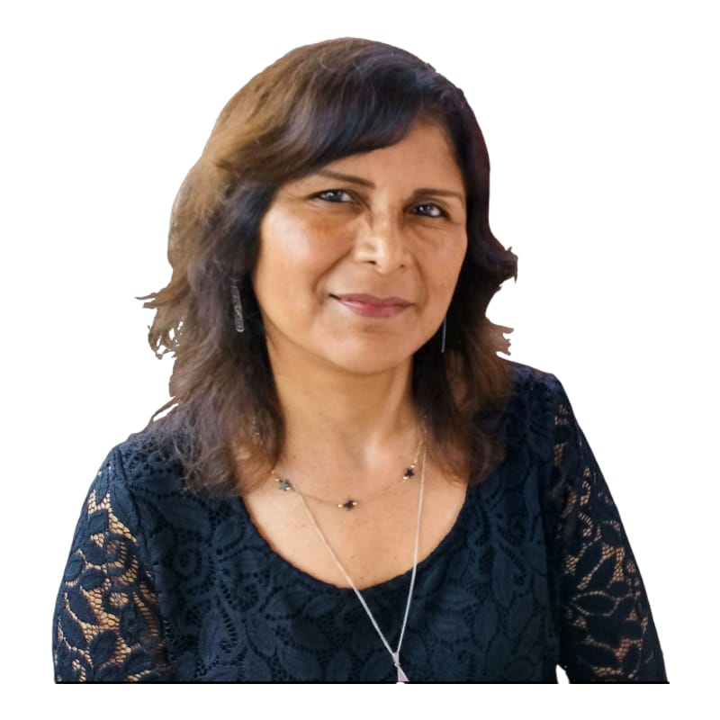 MSc. Ing. Luisa Shuan Lucas, jefa (e) del Laboratorio N.º 2 de Mecánica de Suelos